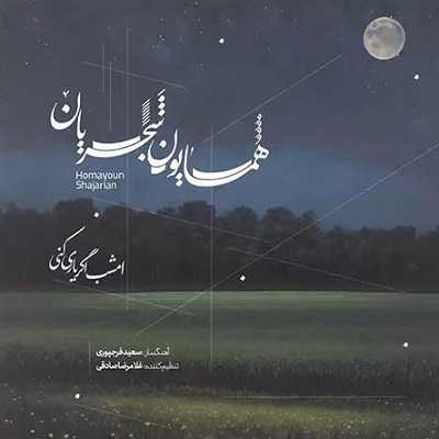 دانلود آهنگ همایون شجریان امشب اگر یاری کنی